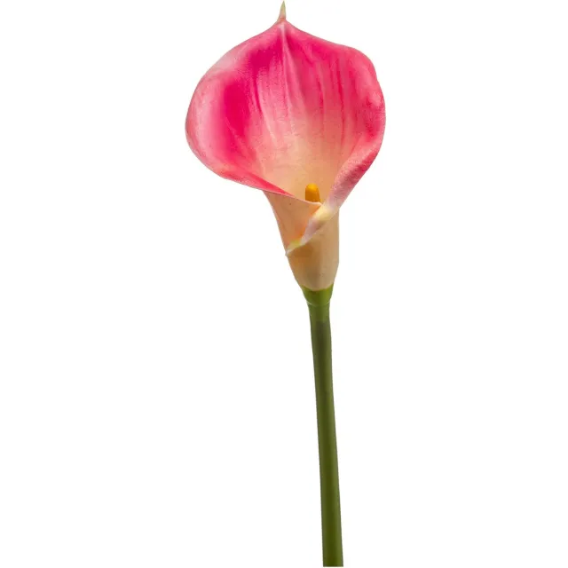 Easyplants Kunstlelie Calla roze 70 cm