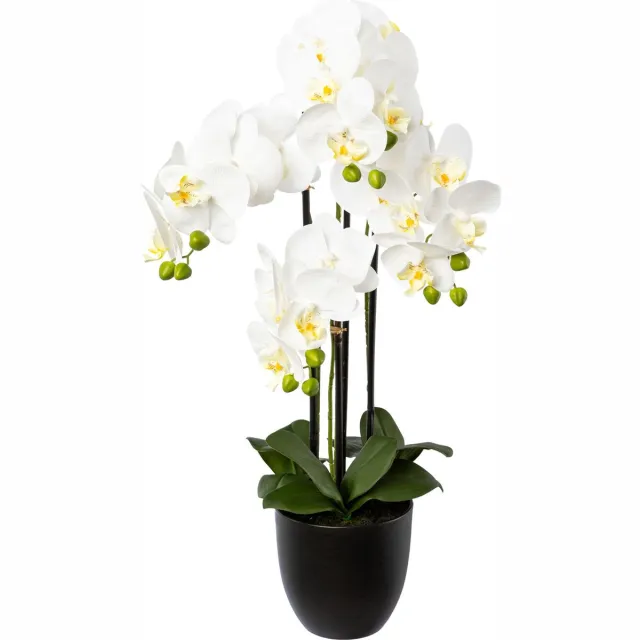Kopu Kunstbloem Orchidee 69 cm Wit met zwarte Pot - Phalenopsis