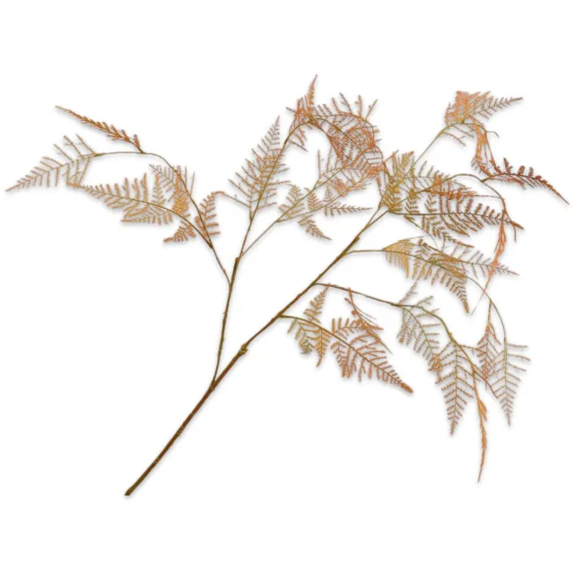 Silk-ka Asparagus tak oranje licht 113 cm