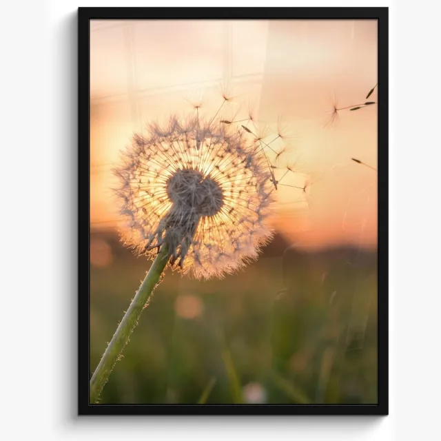 FrameYourWall Poster in lijst - Fotolijst 60x80 cm - Posters - Paardenbloem - Zonsondergang - Veld - Posterlijst zwart - Decoratie - Wanddecoratie woonkamer - Muurdecoratie slaapkamer