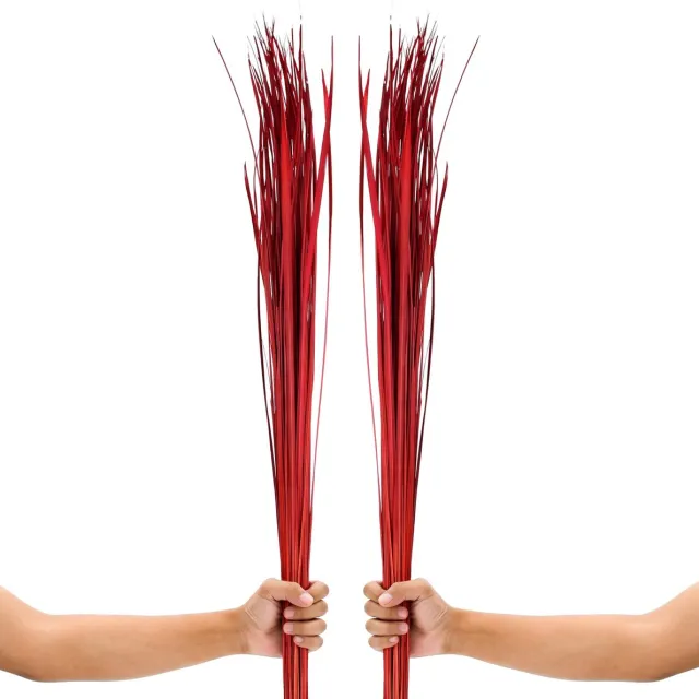 Famanu Gedroogd Siergras voor Vloervazen 115 cm Droogboeket Set 2 Rood