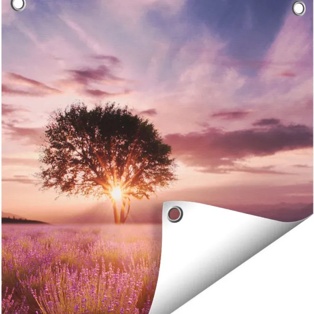 Gards Tuinposter Bloemenveld met Lavendel bij Zonsondergang - 40x40 cm - Tuindoek - Tuindecoratie - Wanddecoratie buiten - Tuinschilderij Multikleur