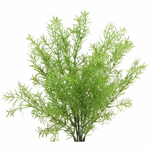 Viana Asperges decoratieve asperges kunstgroen 46cm groente