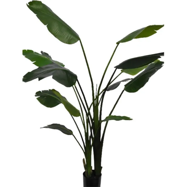 Silk-ka Kunstplant Strelitzia Zijde Groen 183 cm