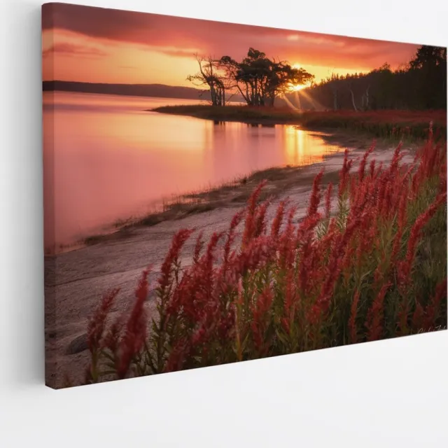 Saammp Canvas Schilderij - Rode Planten - Landschap - Zon - Bloemen - Natuur - 45x30 - Foto op canvas - Wanddecoratie - Muurdecoratie Woonkamer - Slaapkamer decoratie - Canvas Print Multicolor