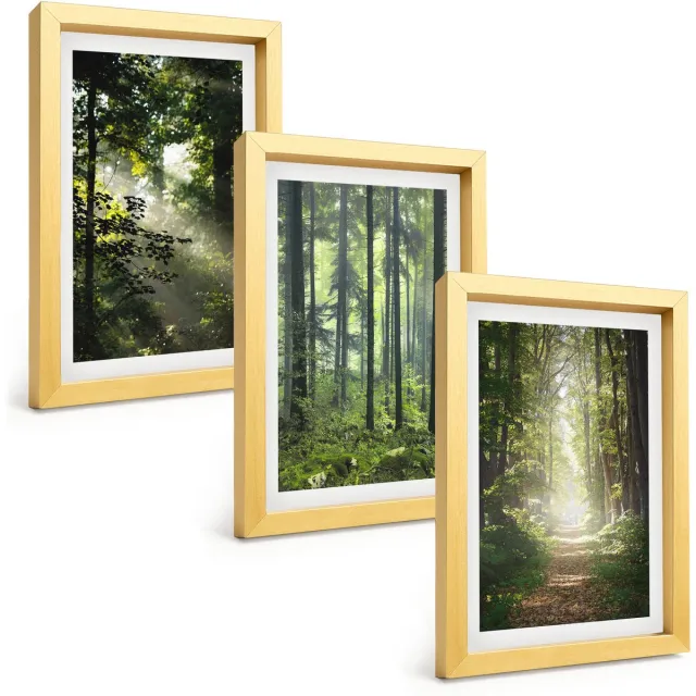 TULUP 4-Delige Schilderij Set - Groene bossen met zonnestralen en een bospad - 20 x 30 cm - Muurdecoratie - Interieur Decoratie - Moderne Wanddecoratie Gouden lijst