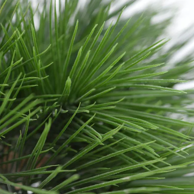 maxifleur Kunstplanten Pinus kunstbonsai 3 bollen 60cm - UV bestendig groen