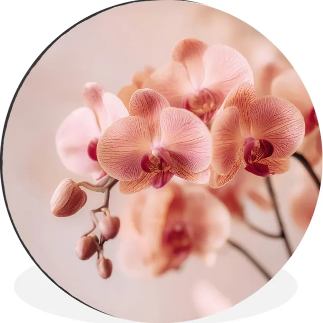 WallCircle Wandcirkel - Muurcirkel - Orchidee - Bloemen - Roze - Bloemblaadjes - Aluminium - Dibond - 90x90 cm - Binnen en Buiten