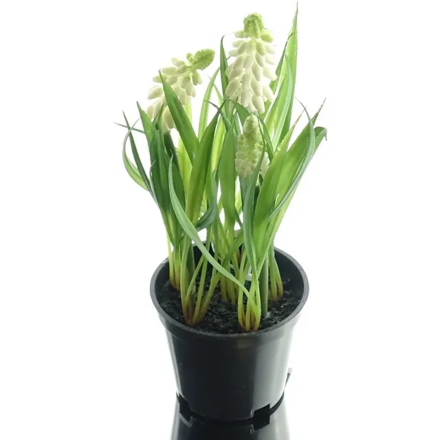 Deko Florale Sperling Druifhyacint Wit Pot 21cm Kunstbloem