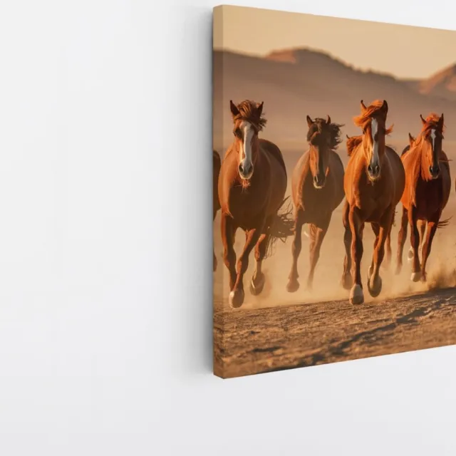 Saammp Canvas Schilderij -Groep paarden in galop- Dieren - Natuur - 40x40 - Foto op canvas - Wanddecoratie - muurdecoratie Woonkamer - Slaapkamer decoratie - Canvas Print Multicolor