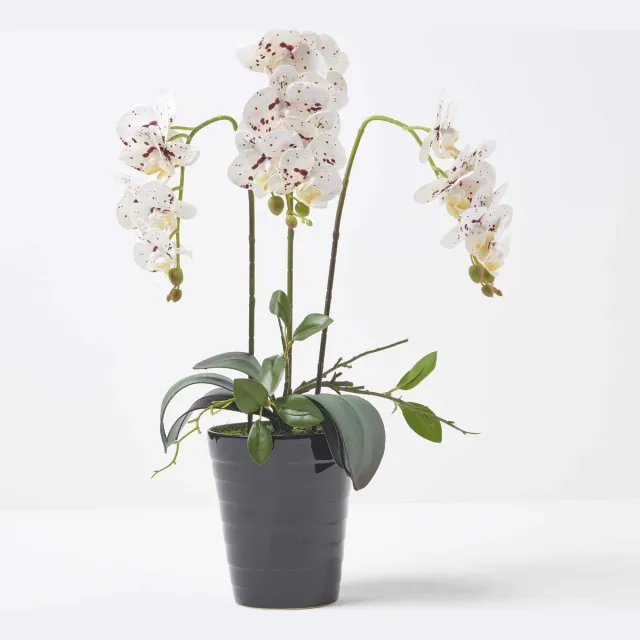 Homescapes Kunstmatige Witte Phalaenopsis Orchidee in Zwarte Keramische Pot 56 cm