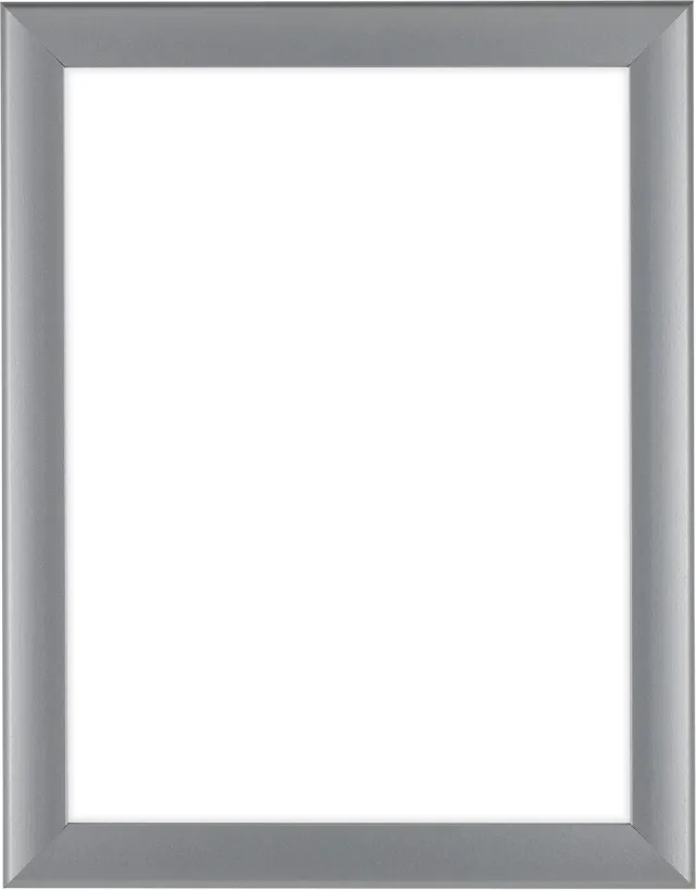 Dutch Frame Factory Fotolijst 75x98 cm - MDF - Zilver Mat - Colonia