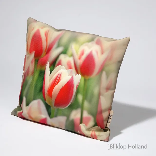 Hugs buitenkussen | tulpen | 40 x 40 | outdoor kussen | tuinkussen | terras aankleding | waterafstotend Rood