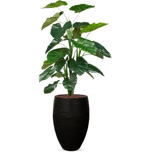 HTT Decorations Kunstplant Philodendron in Vaas elegant Deluxe rib zwart H155 cm