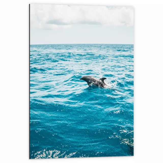 KuijsFotoprint Dibond - Blauwe Zee met Zwemmende Dolfijn - 60x90cm Foto op Aluminium (Wanddecoratie van metaal)