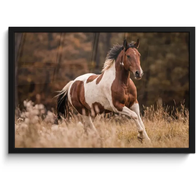 FrameYourWall Poster in lijst - Fotolijst 60x40 cm - Posters - Paard - Bruin - Gras - Posterlijst zwart - Decoratie - Wanddecoratie woonkamer - Muurdecoratie slaapkamer