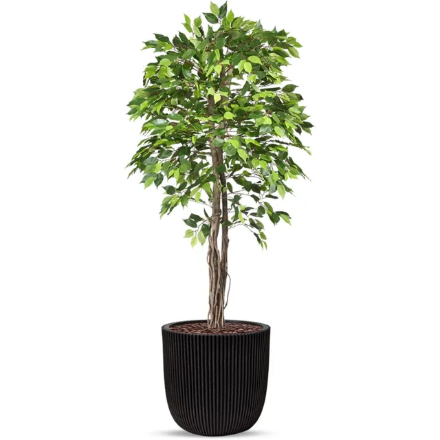 HTT Decorations Kunstplant Ficus groen in planter ball Groove zwart H200 cm