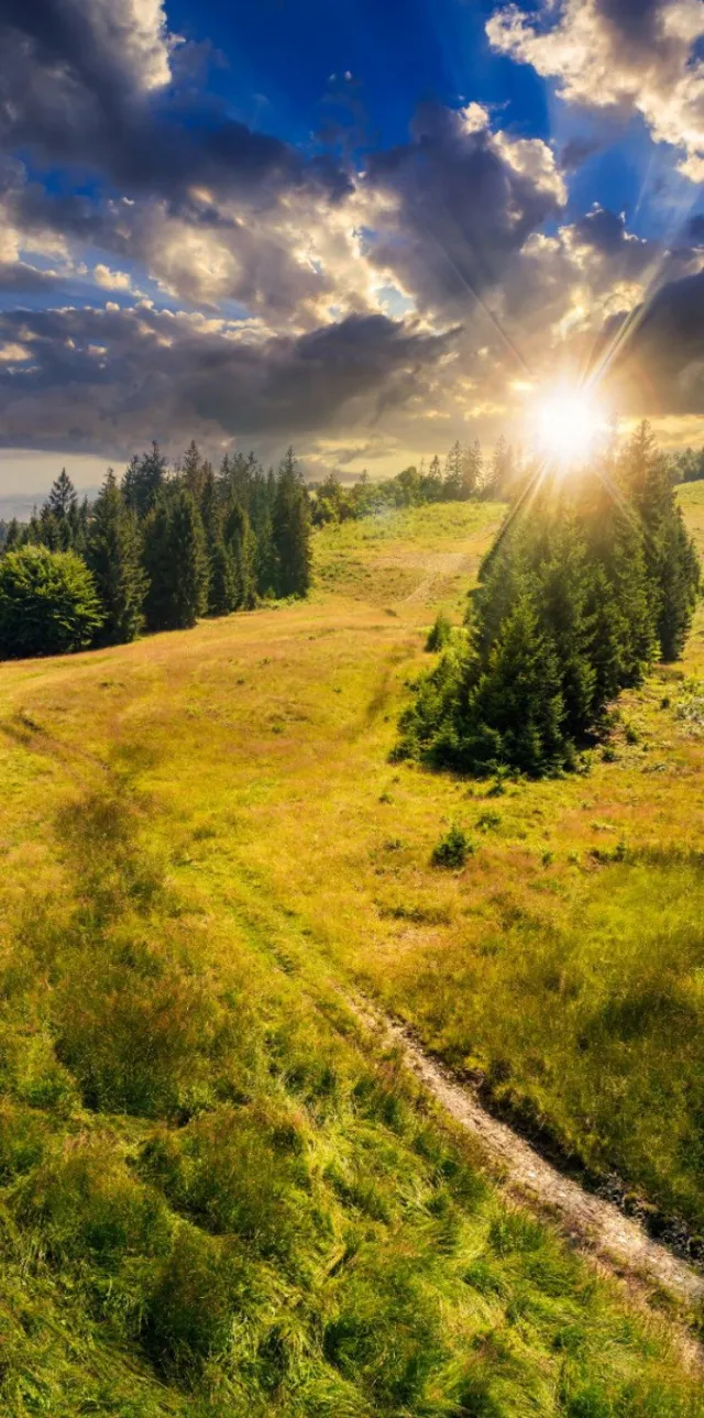 Vgdesign Bergpad in zonlicht 50x70 cm tuinposter banner VGDesign onbekend