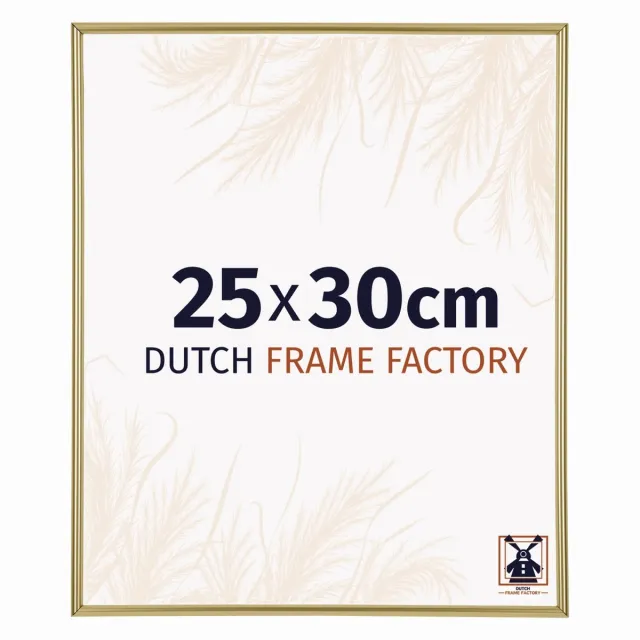 Dutch Frame Factory Fotolijst 25x30 cm - Kunststof - Goud - Angers