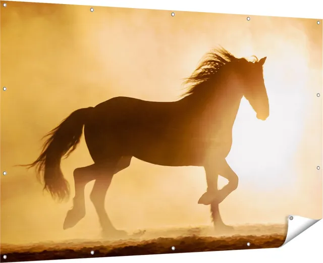 Gards Tuinposter Silhouet van een Paard - 180x120 cm - Tuindoek - Tuindecoratie - Wanddecoratie buiten - Tuinschilderij Multikleur
