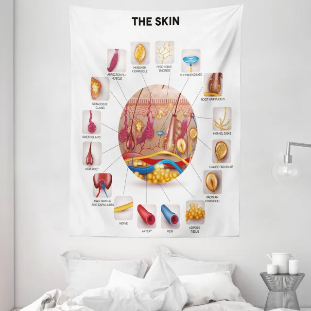 ABAKUHAUS Educatief Tapijt, Huidanatomie Aderen, Woonkamer Slaapkamer Wanddoek Zijdezacht Satijn Tapijt, 150 x 200 cm, Meerkleurig