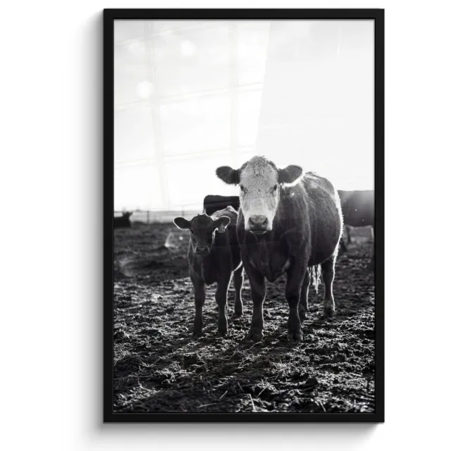 FrameYourWall Poster in lijst - Fotolijst 60x90 cm - Posters - Koeien - Zwart - Wit - Posterlijst zwart - Decoratie - Wanddecoratie woonkamer - Muurdecoratie slaapkamer