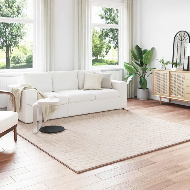 vidaXL Vloerkleden Vierkant SIROLO Beige 240 x 240 cm Polyester, foto 2