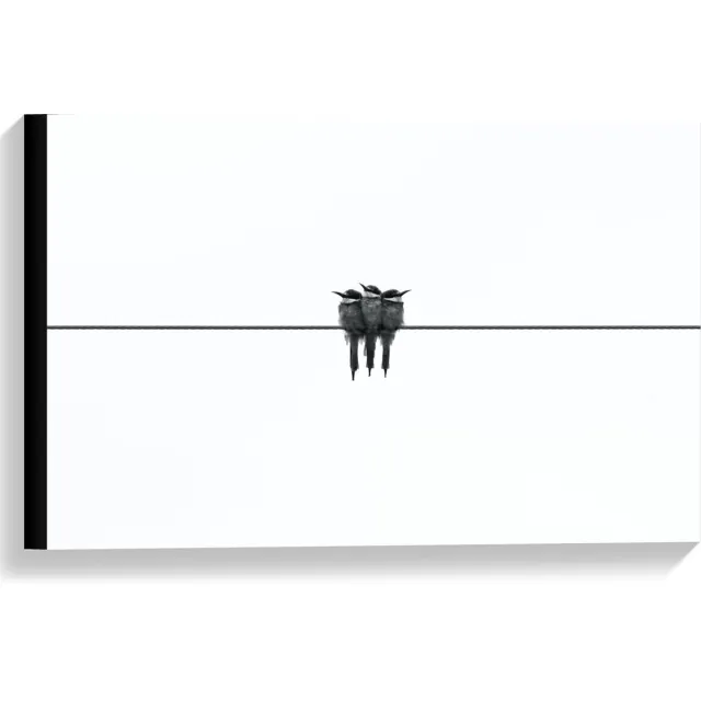 KuijsFotoprint Canvas - Vogels op Zwarte Lijn (zwart/wit) - 60x40cm Foto op Canvas Schilderij (Wanddecoratie op Canvas)