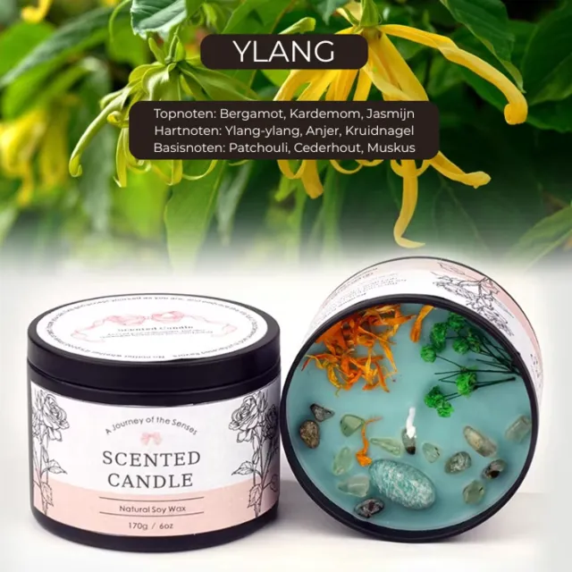 Etsells Luxe Geurkaars Ylang – Sojawas Scented Candle 170g – Bloemige Ylang Ylang met Jasmijn & Patchouli – Aromatherapie Kaars voor Ontspanning