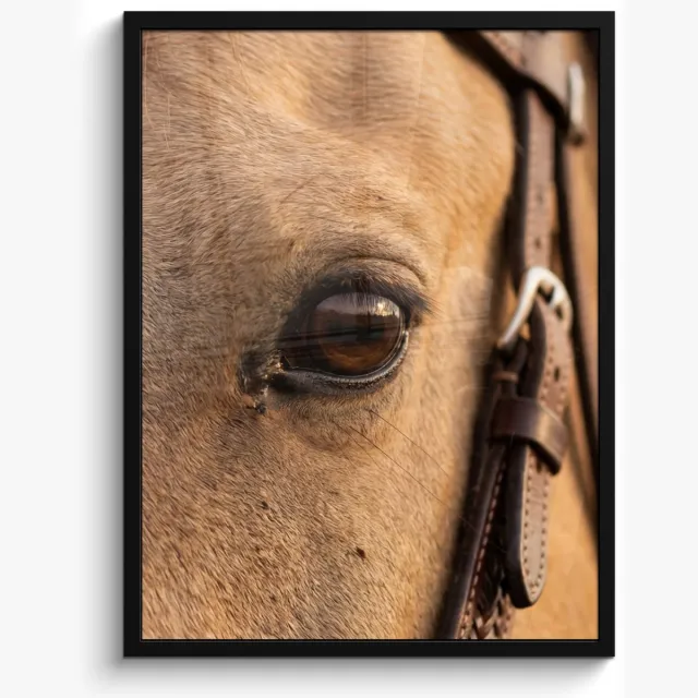 FrameYourWall Poster in lijst - Fotolijst 60x80 cm - Posters - Paard - Oog - Bruin - Posterlijst zwart - Decoratie - Wanddecoratie woonkamer - Muurdecoratie slaapkamer