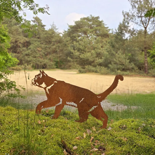 rusty friends Metalendier - Tuinbeeld - Kat - Poes - Cortenstaal - 66 x43 - NL Fabrikaat bruin