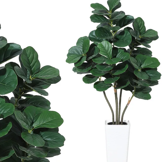 HOERFURIY Kunstplant Vioolbladplant 150 cm - Meerstammige Ficus Lyrata met Witte Pot - Volle Groene Kamerplant voor Woonkamer, Hal en Kantoor - Onderhoudsvrij