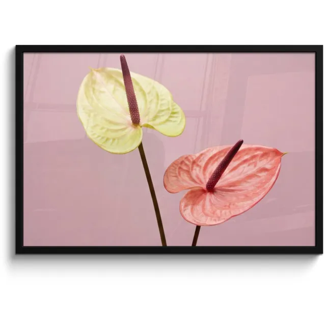 FrameYourWall Poster in lijst - Fotolijst 90x60 cm - Posters - Bloemen - Anthuriums - Geel - Roze - Posterlijst zwart - Decoratie - Wanddecoratie woonkamer - Muurdecoratie slaapkamer