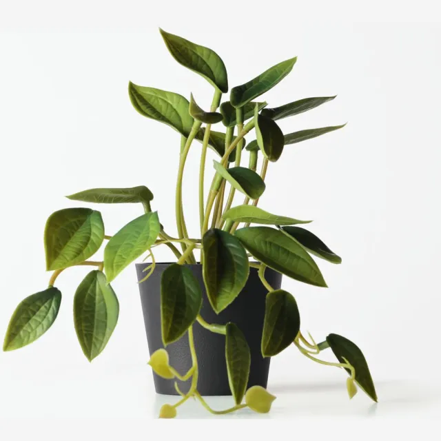 HEMA Philodendron kunstplant, 55 cm, groen