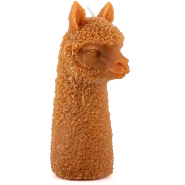 homebound by ky Kaars alpaca Bruin