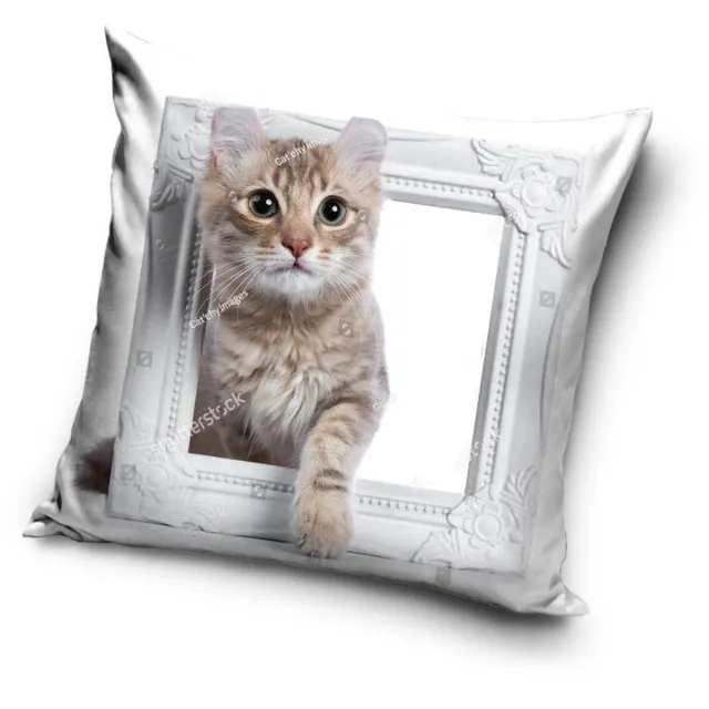 Carbotex De kat met witte schilderij - Sierkussen Kussen 40 x 40 cm inclusief vulling