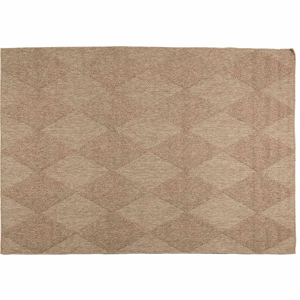 vidaXL Binnen- en buitentapijt AGIRA Naturel 340 x 240 cm Polyester Bruin