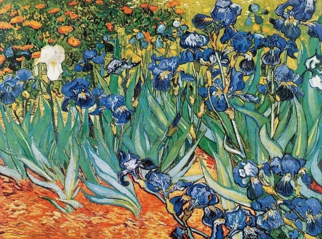 PGM Kunstdruk Vincent Van Gogh - Iris 80x60cm Divers