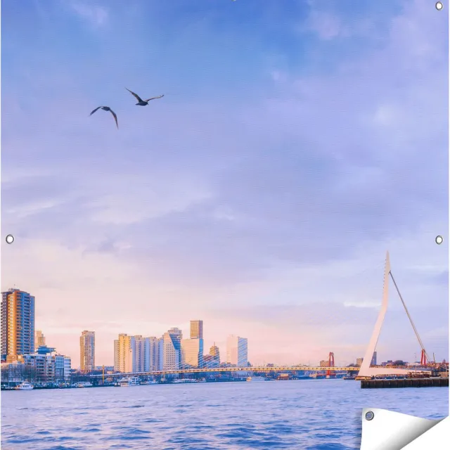 Gards Tuinposter Rotterdamse Skyline aan het Water - 100x100 cm - Tuindoek - Tuindecoratie - Wanddecoratie buiten - Tuinschilderij Multikleur