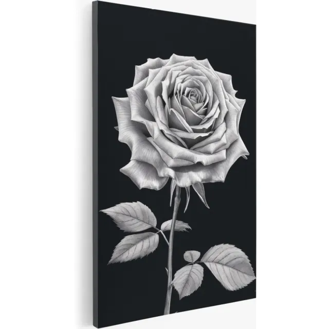Saammp Canvas Schilderij - Roos - Zwart-Wit - Natuur - Bloemen - 60x90 - Foto op canvas - Wanddecoratie - Muurdecoratie Woonkamer - Kantoor Decoratie Multicolor