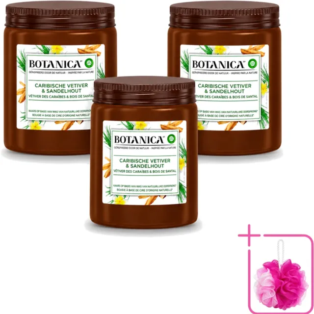 Air Wick 3 x Botanica by Air Wick - Geurkaars - Vetiver & Sandelhout - 40 Uur Brandduur - Bulkverpakking - Geurkaars vetiver sandelhout - Douchemop - Vetiver geur Bruin