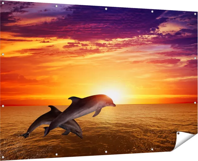 Gards Tuinposter Twee Dolfijnen bij de Zonsondergang - 180x120 cm - Tuindoek - Tuindecoratie - Wanddecoratie buiten - Tuinschilderij Multikleur