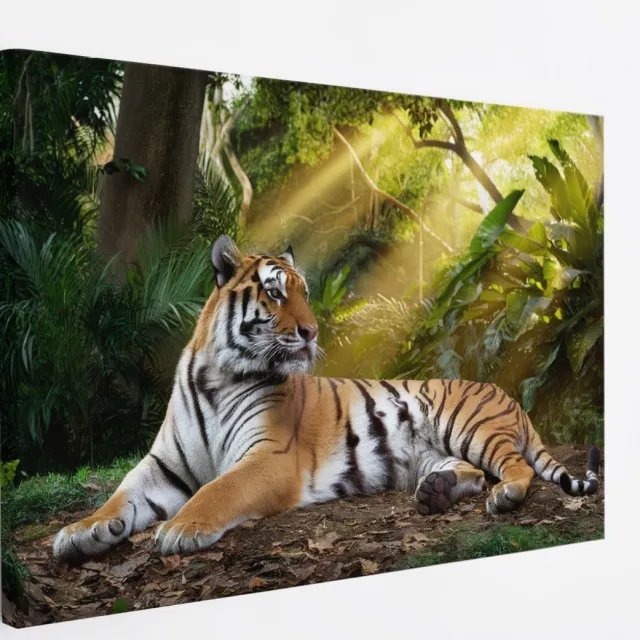 Saammp Canvas Schilderij - Tijger in de zon - Natuur - Dieren - 40x30 - Foto op canvas - Wanddecoratie - muurdecoratie Woonkamer - Slaapkamer decoratie - Canvas Print Multicolor