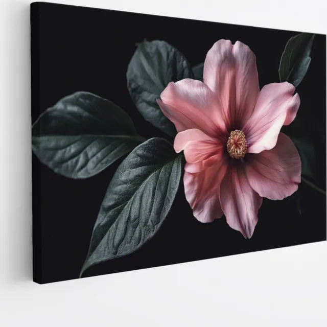 Saammp Canvas Schilderij - Roze Bloem op Zwarte Achtergrond - Natuur - Elegant Abstract - 30x20 - Foto op canvas - Wanddecoratie - Muurdecoratie Woonkamer - Kantoor Decoratie Multicolor