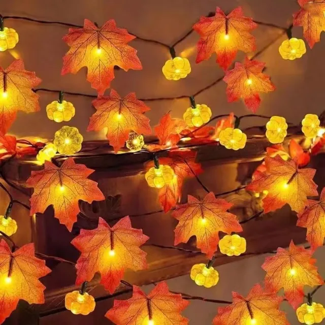 FLITI Halloween Slinger met LED Verlichting – Pompoenen, Esdoornbladeren & Eikels – Herfstdecoratie voor Halloween, Thanksgiving & Feest – 6 m – 40 LED – 2 Lichtstanden – 1 Stuk
