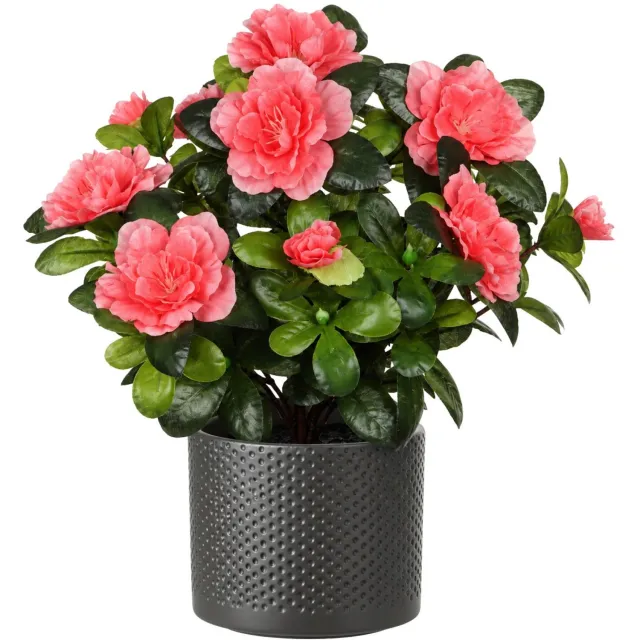 Mica Decorations Kunstplant - Azalea roze - H27 cm - in antraciet bloempot - keramiek - complete set van pot en plant - decoratie stuk