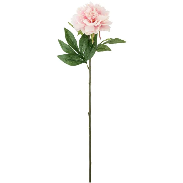 Bloomingville Peony Stem, Rose, Artificial Flowers [gid://shopify/Metaobject/303097905487]