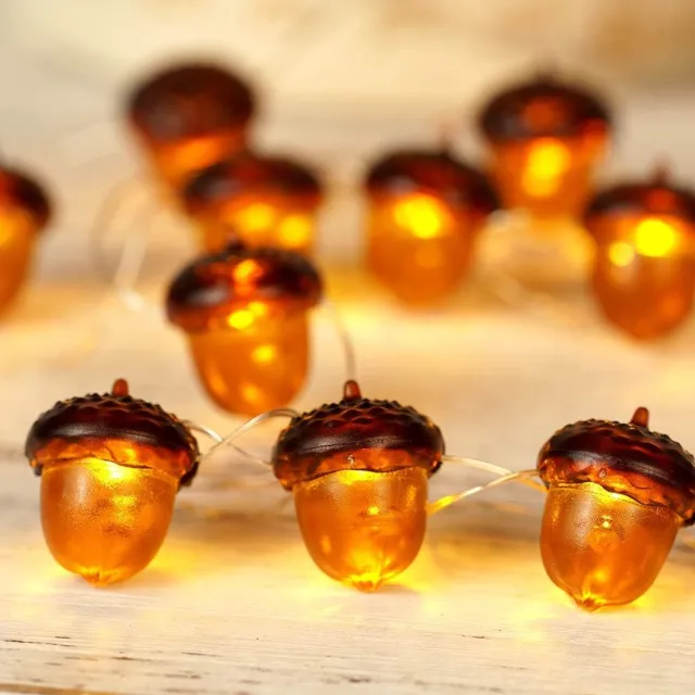 KZQ 3D Eikel Lichtsnoer 3m 30 LEDs op Batterij met Afstandsbediening en Timer Herfst Decoratie Binnen