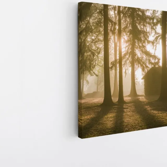 Saammp Canvas Schilderij - Huis - Grote Bomen - Landschap - Natuur - 60x60 - Foto op canvas - Wanddecoratie - Muurdecoratie Woonkamer - Slaapkamer decoratie - Canvas Print Multicolor