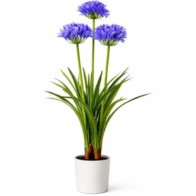 HEM Kunstplant Agapanthus Paars 80 cm in witte pot – Nepplant voor binnen – Realistische kunstbloemen – Ideaal Als Bureau Tussenwand
